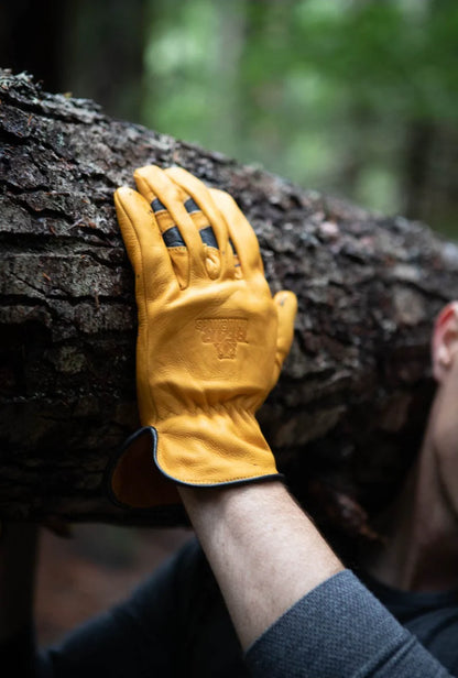 Bodacious Water-Resistant Driver Glove